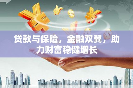 东乡族贷款与保险，金融双翼，助力财富稳健增长