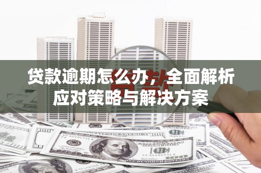 东乡族贷款逾期怎么办，全面解析应对策略与解决方案