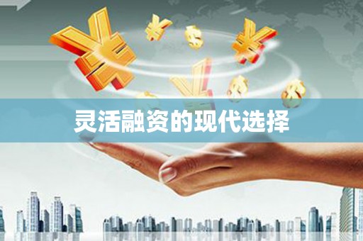 东乡族灵活融资的现代选择