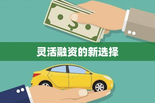 东乡族灵活融资的新选择