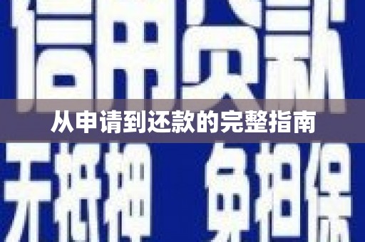 东乡族从申请到还款的完整指南