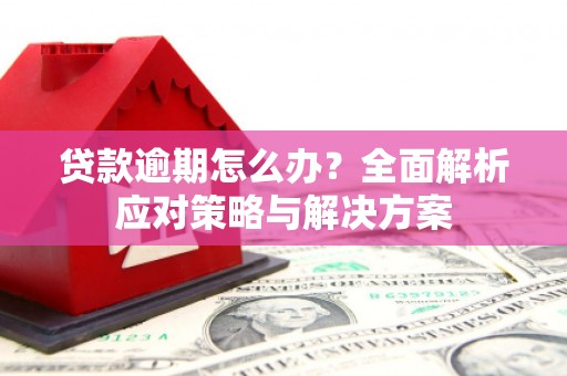 东乡族贷款逾期怎么办？全面解析应对策略与解决方案