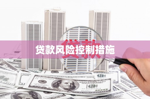 东乡族贷款风险控制措施