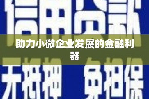 东乡族助力小微企业发展的金融利器
