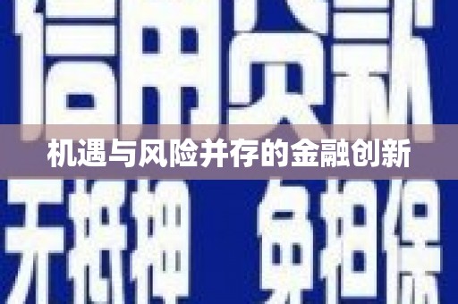 东乡族机遇与风险并存的金融创新