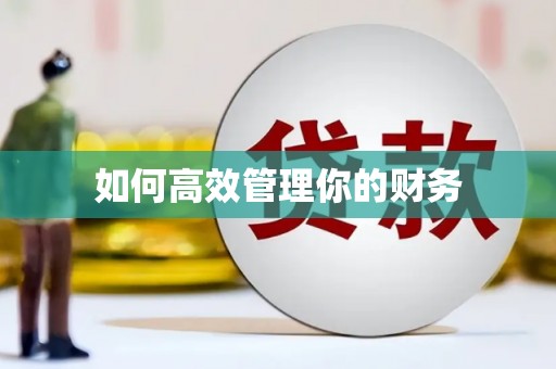 东乡族如何高效管理你的财务