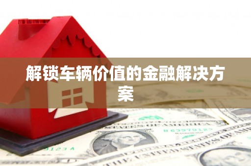 东乡族解锁车辆价值的金融解决方案