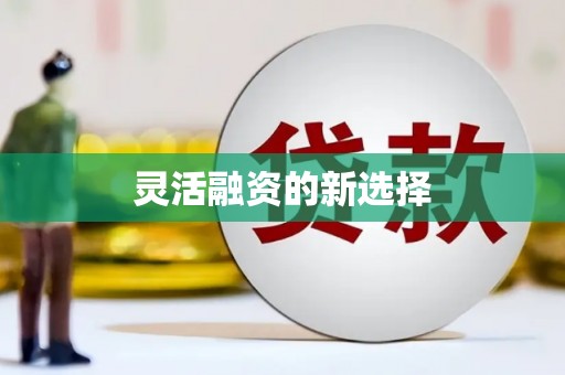 东乡族灵活融资的新选择