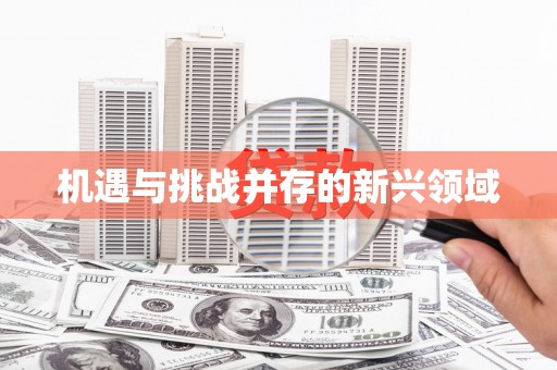东乡族机遇与挑战并存的新兴领域