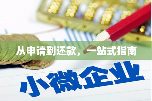 东乡族从申请到还款，一站式指南
