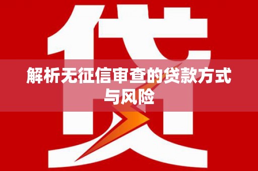东乡族解析无征信审查的贷款方式与风险