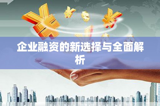 东乡族企业融资的新选择与全面解析