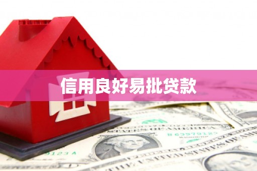 东乡族信用良好易批贷款