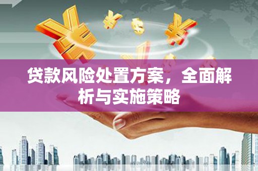 东乡族贷款风险处置方案，全面解析与实施策略