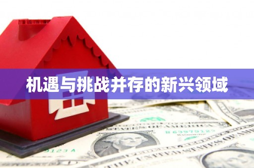 东乡族机遇与挑战并存的新兴领域