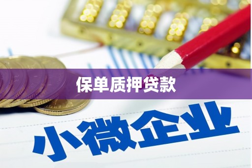 东乡族保单质押贷款