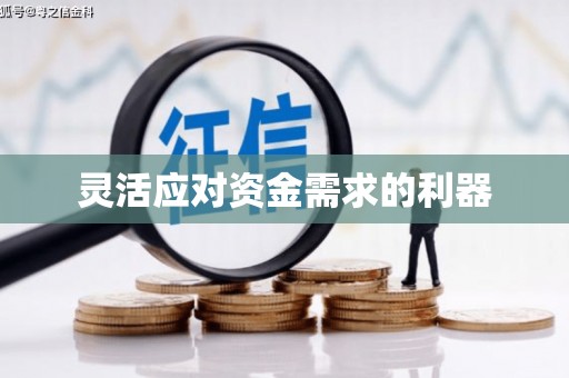 东乡族灵活应对资金需求的利器