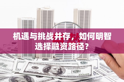 东乡族机遇与挑战并存，如何明智选择融资路径？