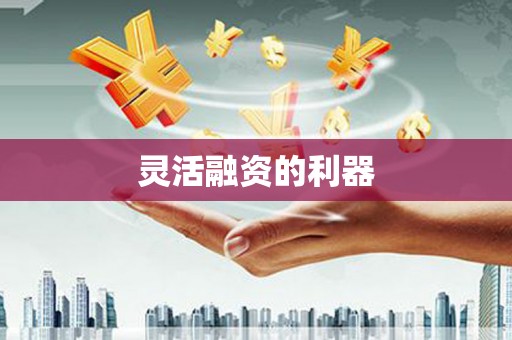 东乡族灵活融资的利器