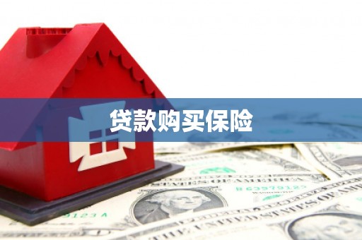 东乡族贷款购买保险