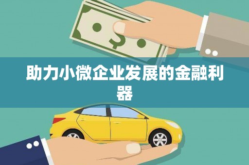 东乡族助力小微企业发展的金融利器