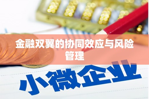 东乡族金融双翼的协同效应与风险管理