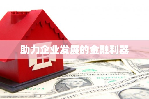 东乡族助力企业发展的金融利器