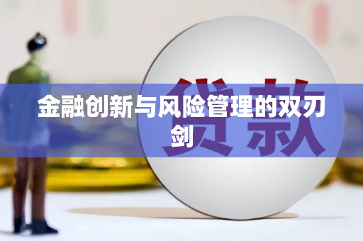 东乡族金融创新与风险管理的双刃剑