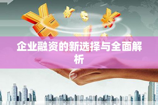 东乡族企业融资的新选择与全面解析