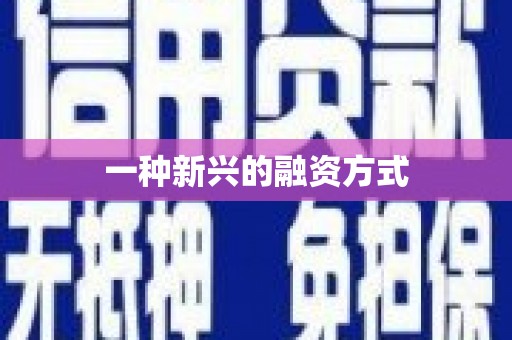 东乡族一种新兴的融资方式