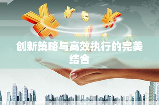 东乡族创新策略与高效执行的完美结合