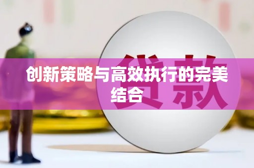 东乡族创新策略与高效执行的完美结合