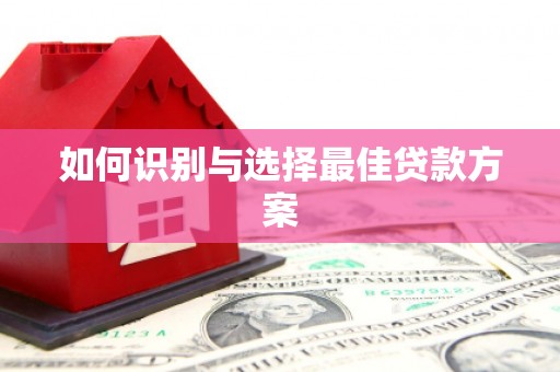 东乡族如何识别与选择最佳贷款方案