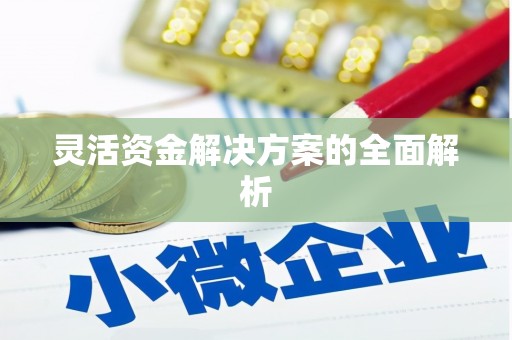东乡族灵活资金解决方案的全面解析