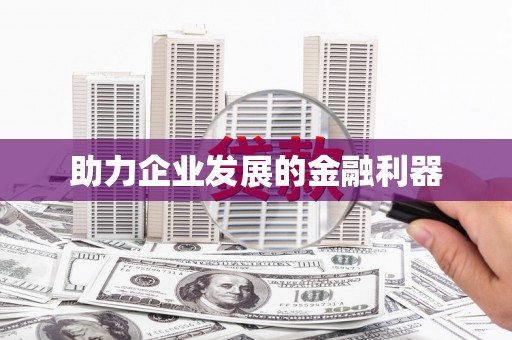 东乡族助力企业发展的金融利器
