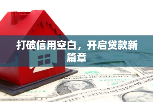 东乡族打破信用空白，开启贷款新篇章