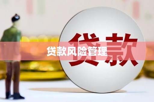 东乡族贷款风险管理