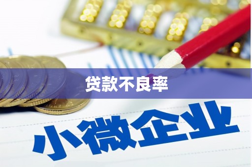 东乡族贷款不良率