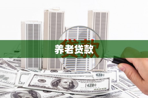 东乡族养老贷款