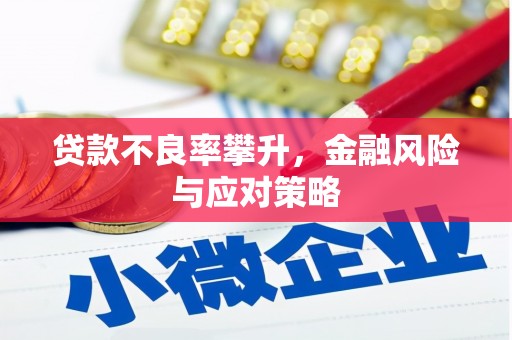 东乡族贷款不良率攀升，金融风险与应对策略