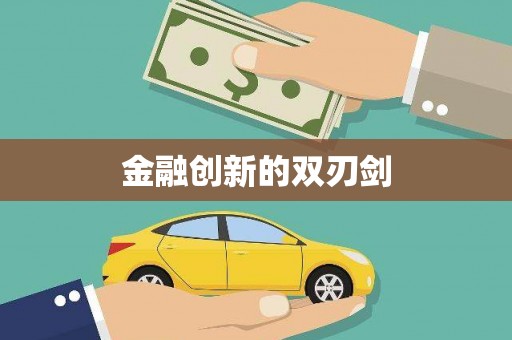 东乡族金融创新的双刃剑