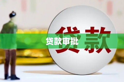 东乡族贷款审批