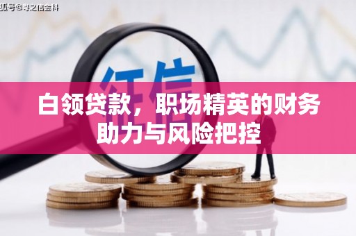 东乡族白领贷款,职场精英的财务助力与风险把控 东乡族白领贷款,职场精英的财务助力与风险把控