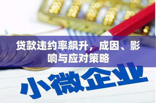 东乡族贷款违约率飙升，成因、影响与应对策略
