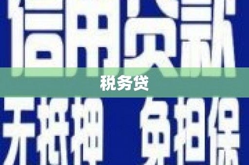 东乡族税务贷